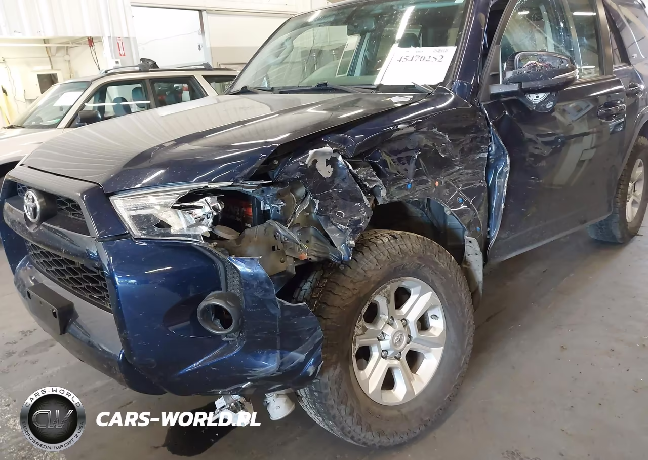 2019 Toyota 4Runner Sr5 Premium VIN:JTEBU5JR8K5688984 - 12