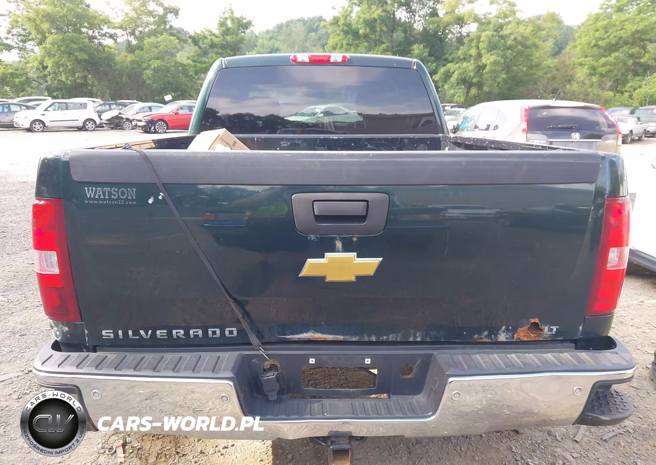 2013 Chevrolet Silverado 1500 Lt VIN:1GCRKSE79DZ304867 - 17