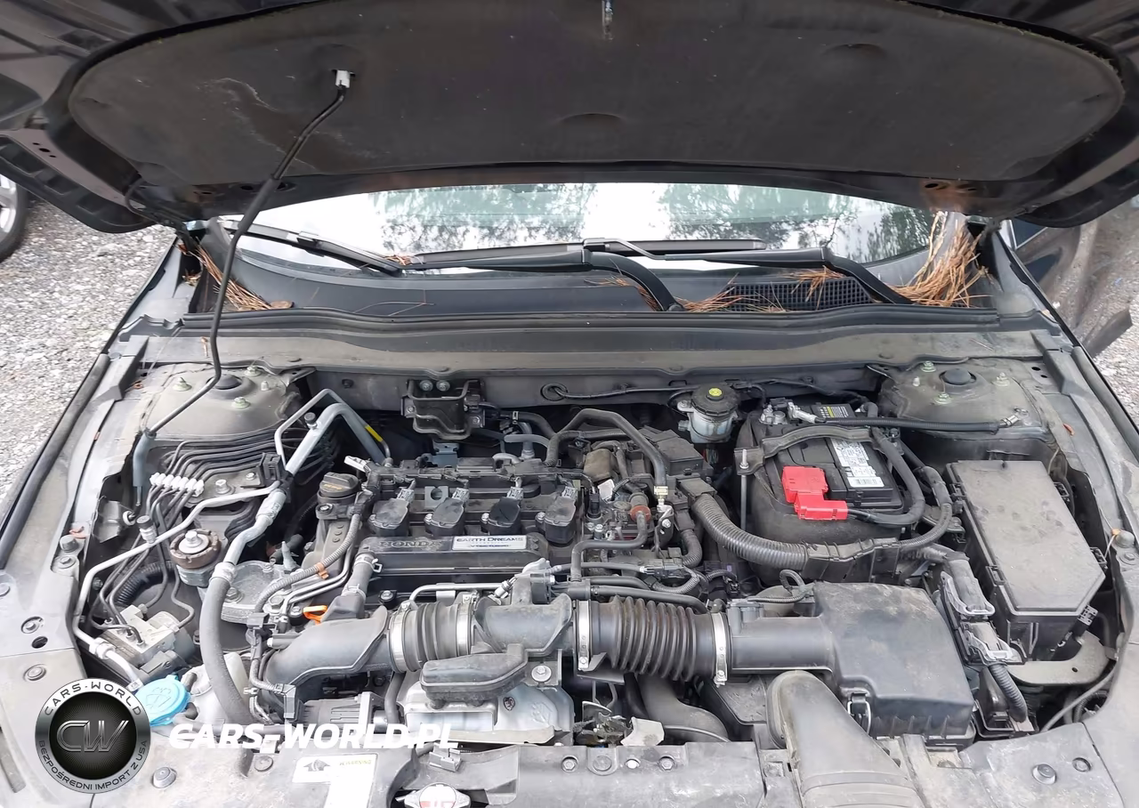 2019 Honda Accord Ex VIN:1HGCV1F44KA171170 - 10