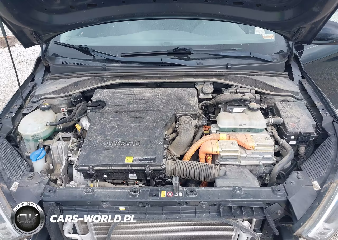 2019 Hyundai Ioniq Hybrid Blue VIN:KMHC65LC9KU133829 - 10