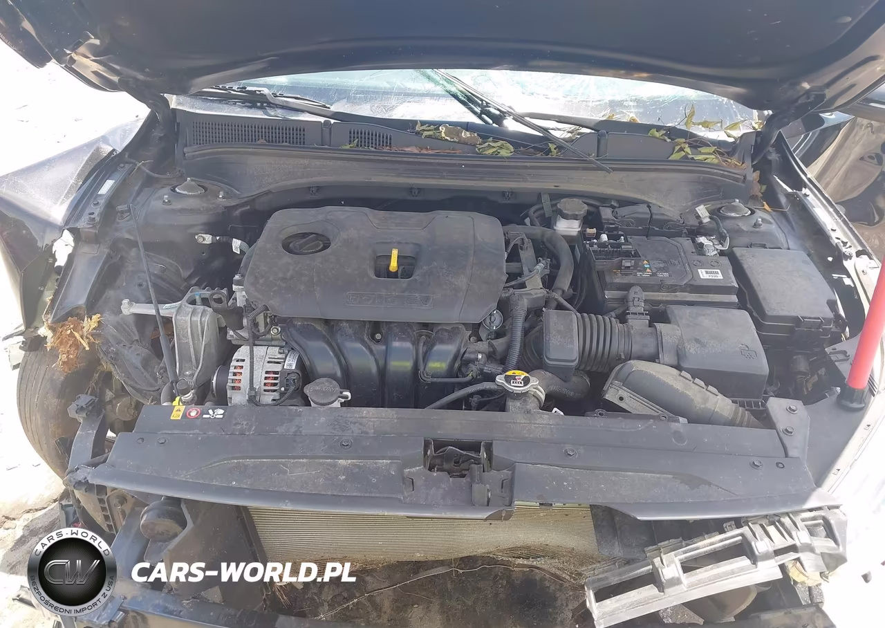 2021 Kia Forte Ex VIN:3KPF54AD8ME337694 - 10