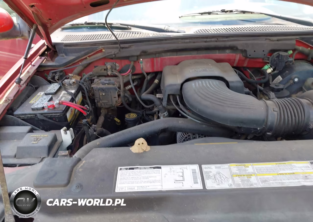 2000 Ford F-150 Lariat-Work Series-Xl-Xlt VIN:1FTRX18W9YNB57445 - 10