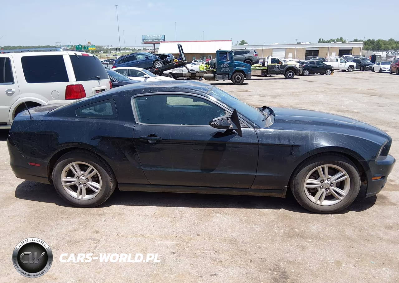 2014 Ford Mustang V6-V6 Premium VIN:1ZVBP8AMXE5326383 - 12