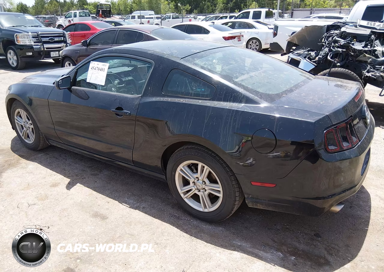 2014 Ford Mustang V6-V6 Premium VIN:1ZVBP8AMXE5326383 - 3