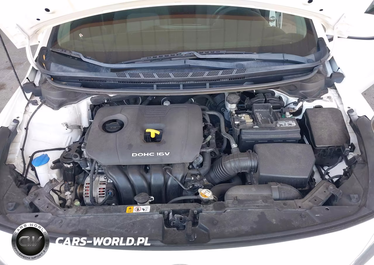 2018 Kia Forte Lx VIN:3KPFL4A77JE194118 - 10