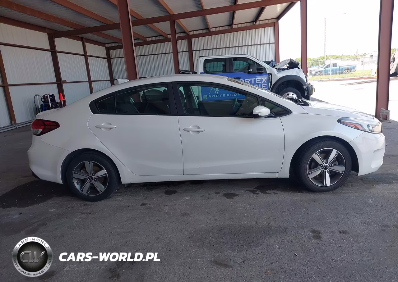 2018 Kia Forte Lx VIN:3KPFL4A77JE194118 - 13