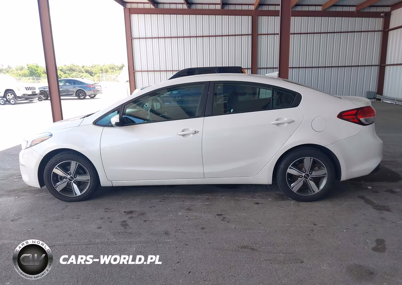 2018 Kia Forte Lx VIN:3KPFL4A77JE194118 - 14