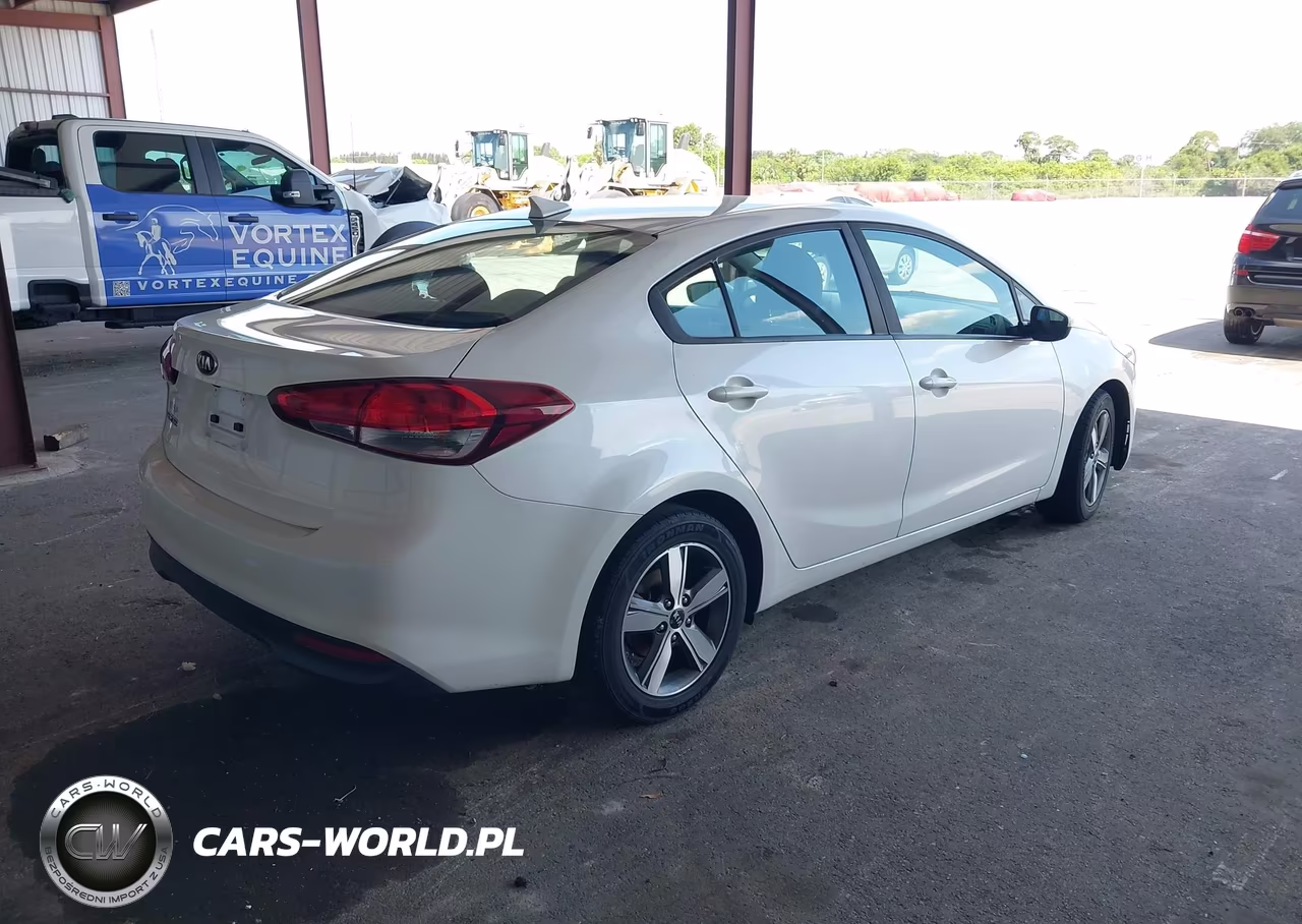 2018 Kia Forte Lx VIN:3KPFL4A77JE194118 - 4