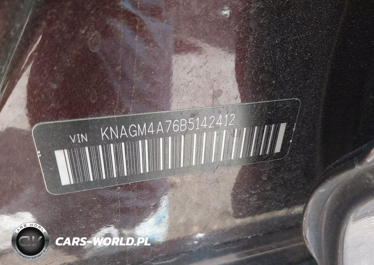 2011 Kia Optima Lx VIN:KNAGM4A76B5142412 - 9