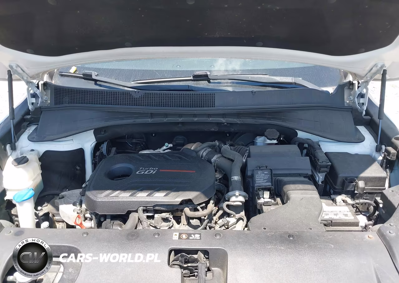 2016 Kia Sorento 2.0T Sxl VIN:5XYPKDA11GG127478 - 10