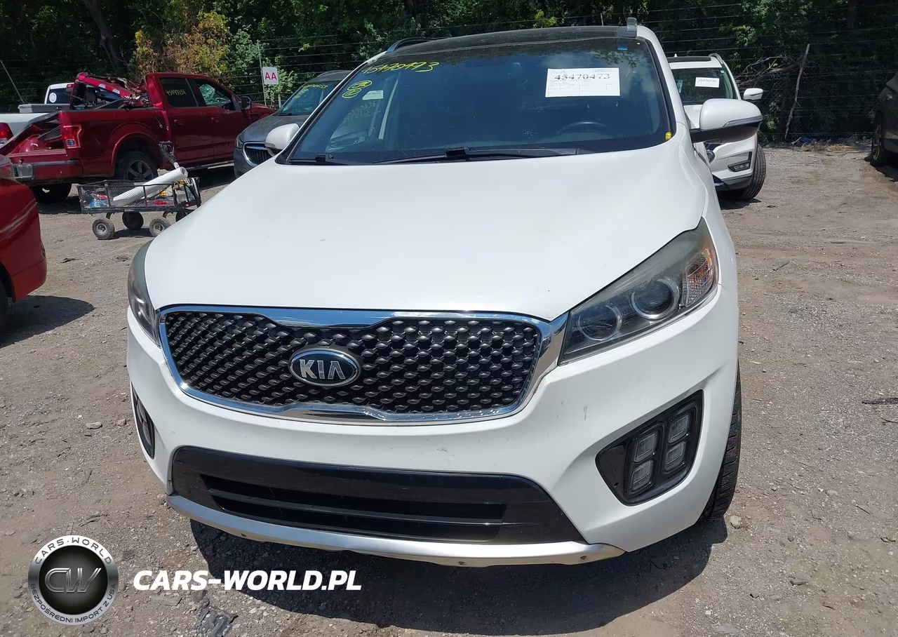 2016 Kia Sorento 2.0T Sxl VIN:5XYPKDA11GG127478 - 12