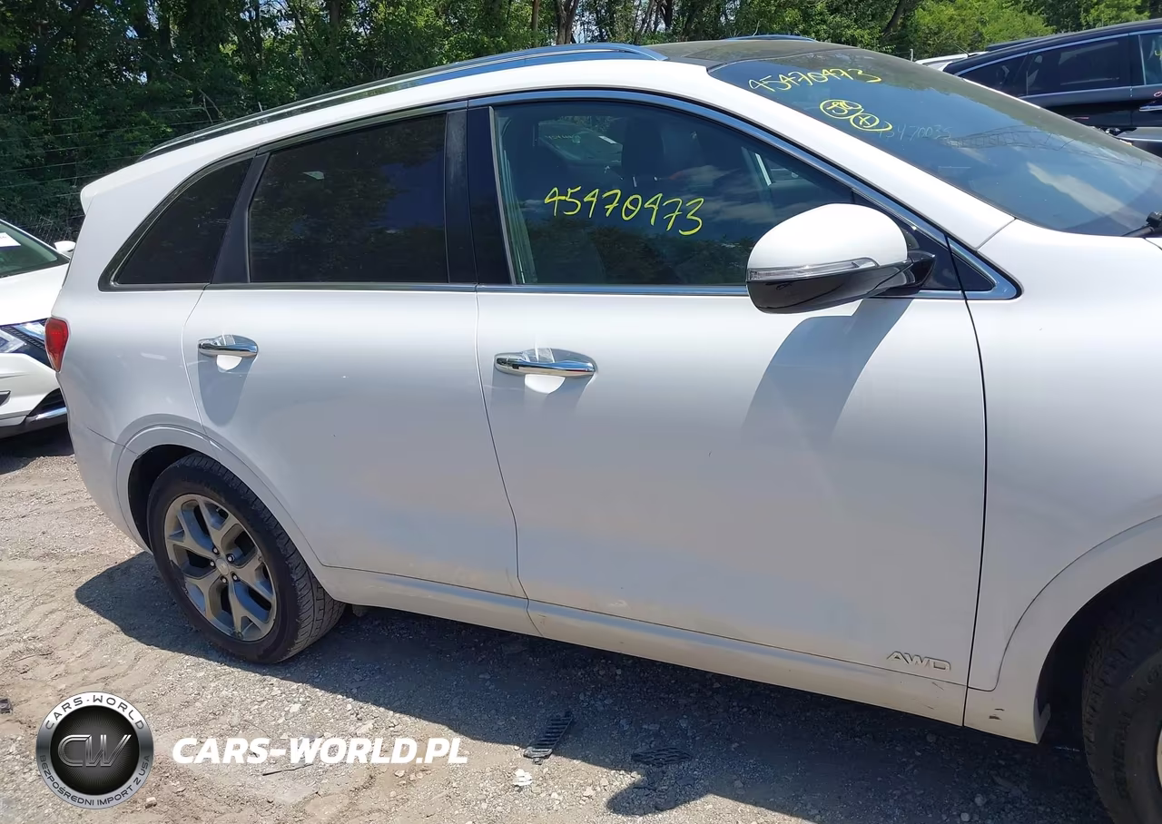 2016 Kia Sorento 2.0T Sxl VIN:5XYPKDA11GG127478 - 13