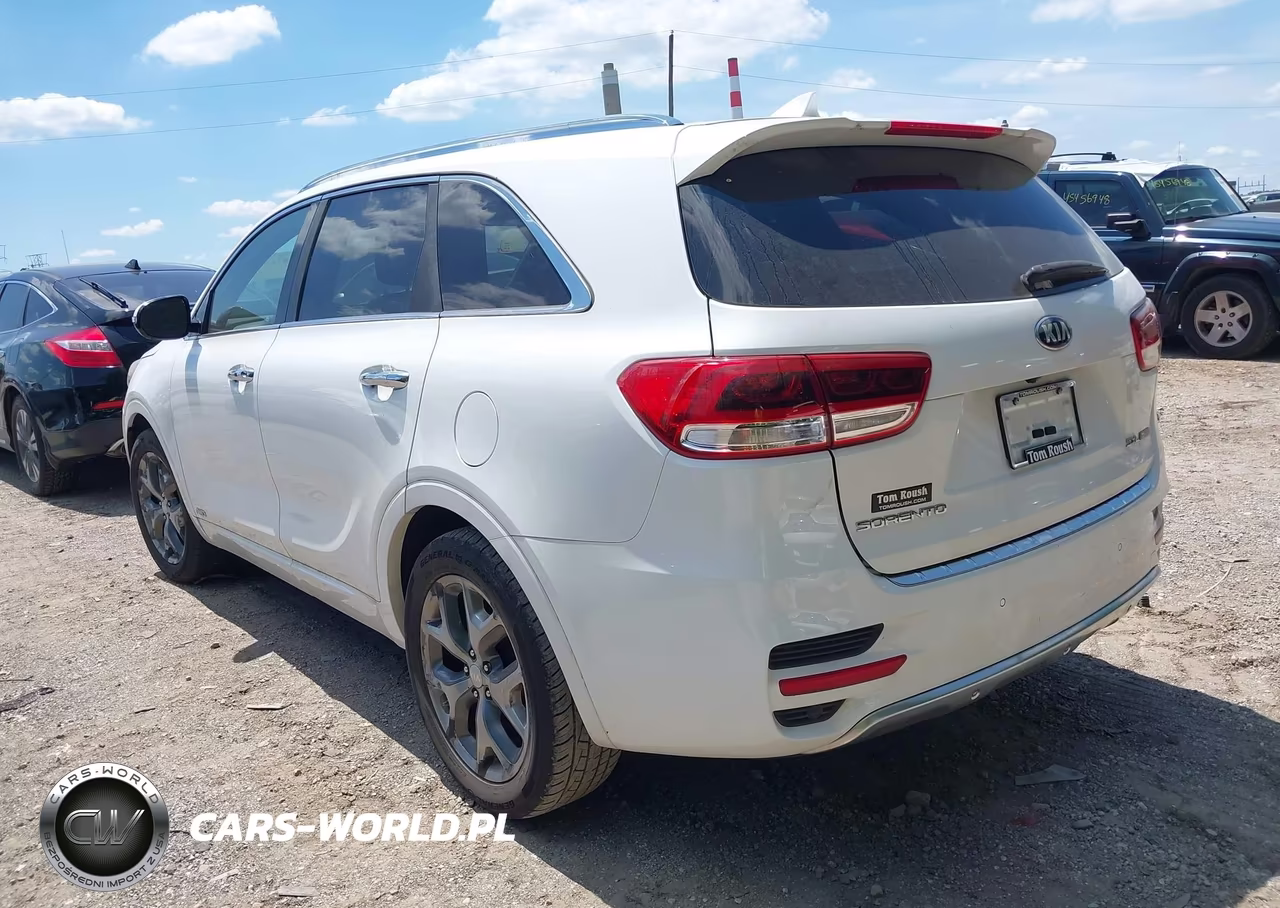 2016 Kia Sorento 2.0T Sxl VIN:5XYPKDA11GG127478 - 3