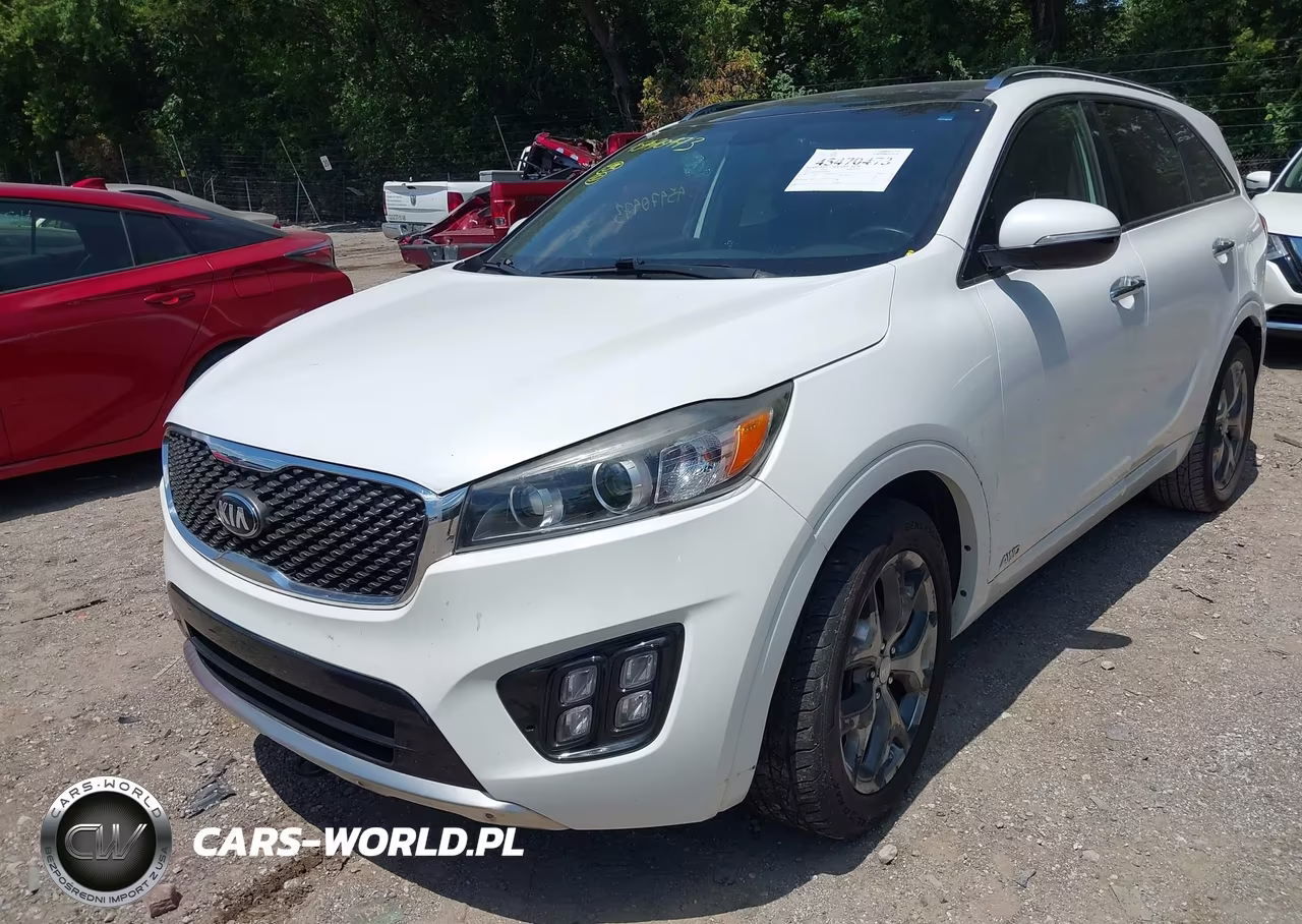 2016 Kia Sorento 2.0T Sxl VIN:5XYPKDA11GG127478 - 6
