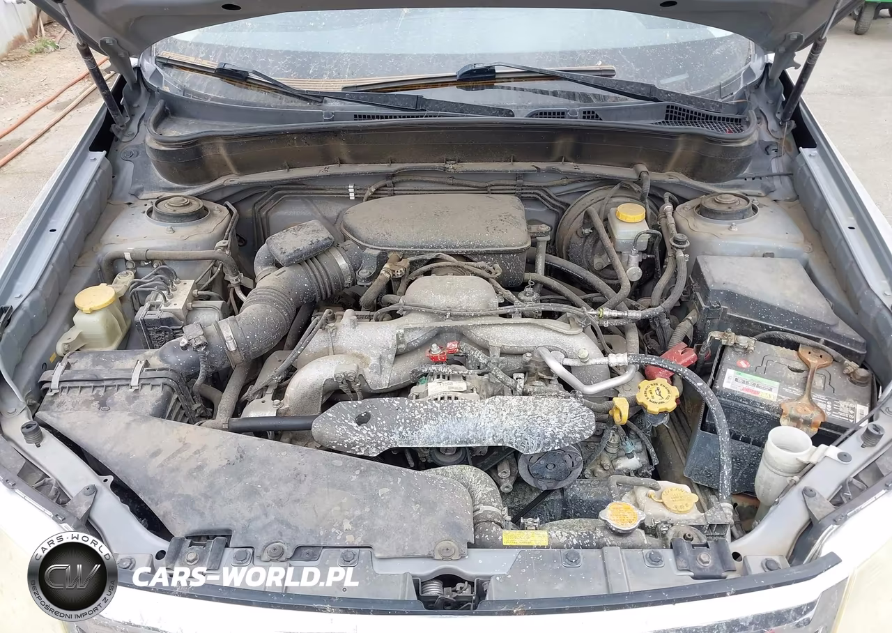 2010 Subaru Forester 2.5X Premium VIN:JF2SH6CC9AH767554 - 10