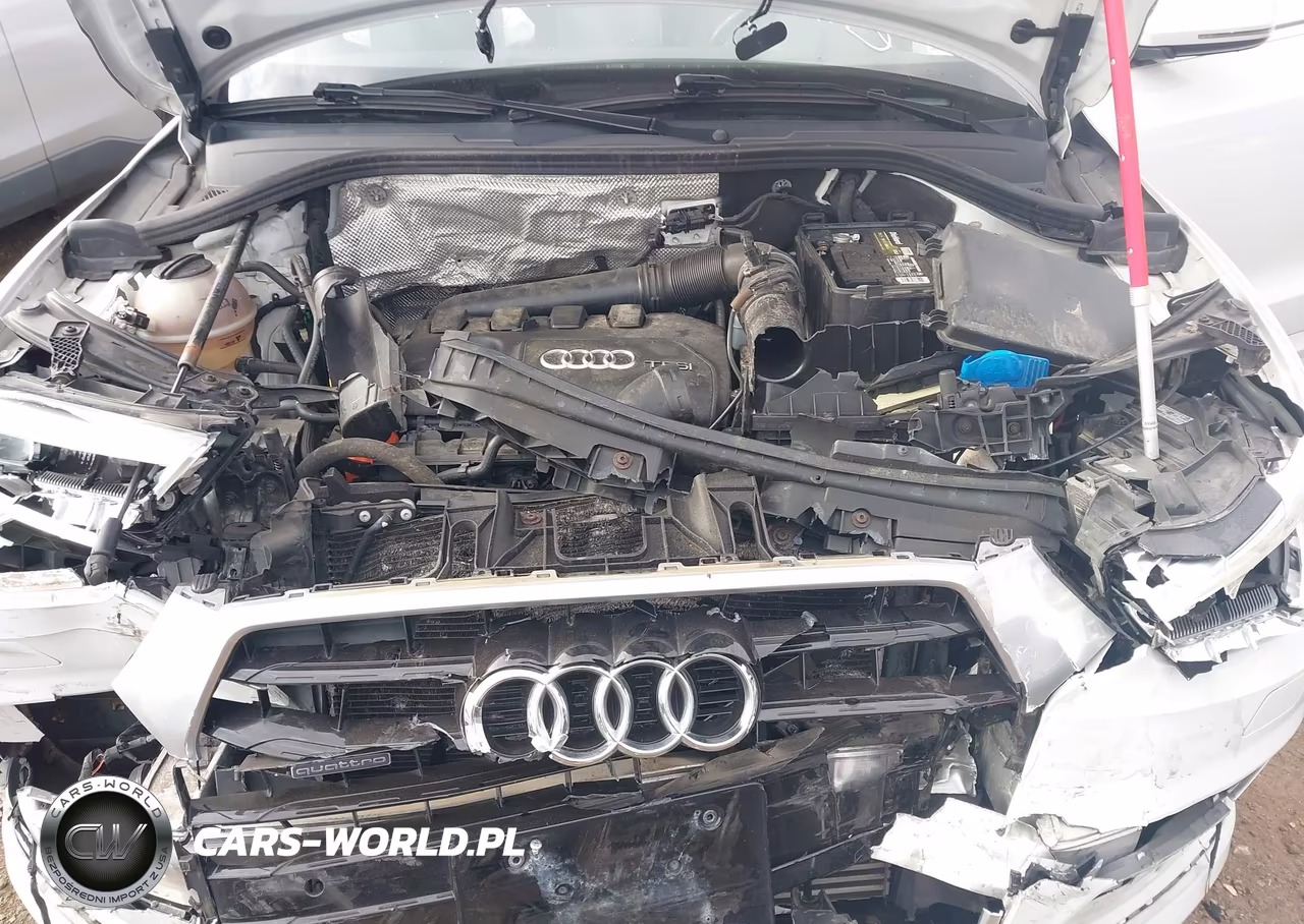 2016 Audi Q3 2.0T Premium Plus VIN:WA1GFCFSXGR006248 - 10