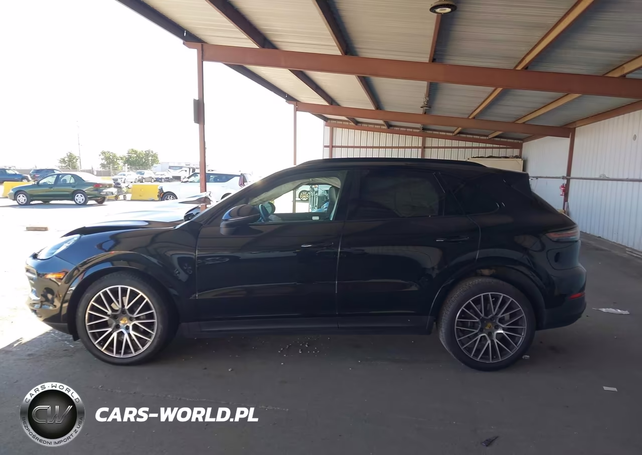 2020 Porsche Cayenne VIN:WP1AA2AY5LDA00282 - 15