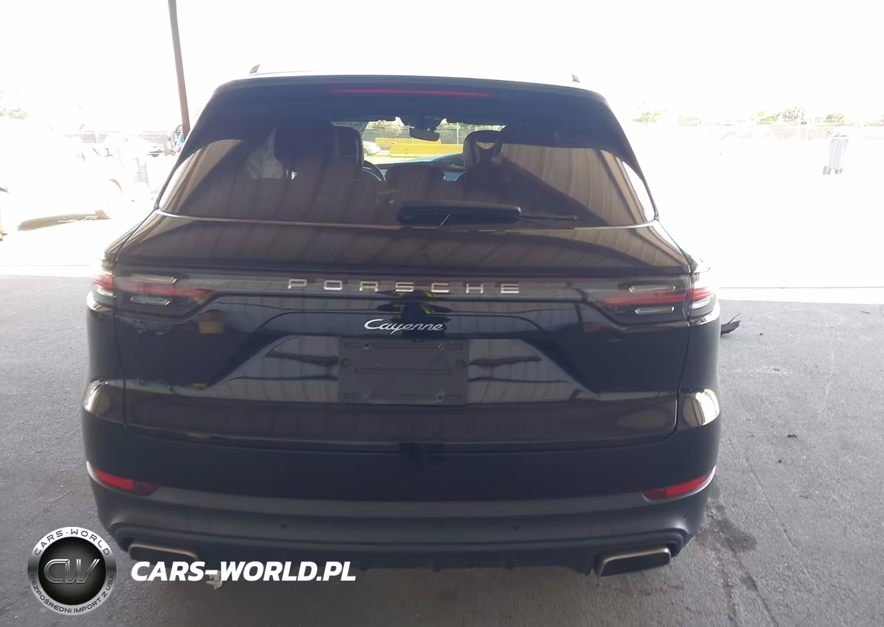 2020 Porsche Cayenne VIN:WP1AA2AY5LDA00282 - 17