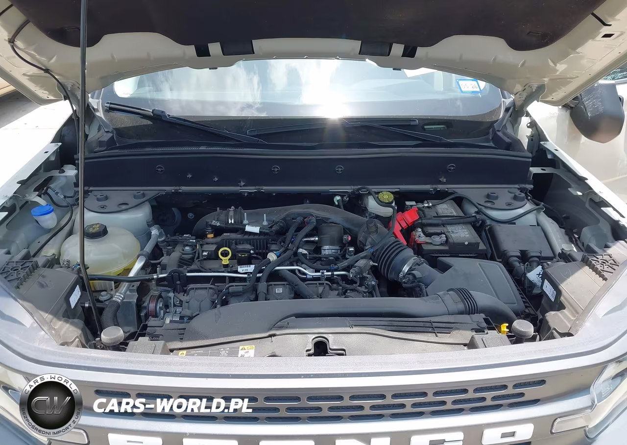 2024 Ford Bronco Sport Badlands VIN:3FMCR9D93RRE08257 - 10