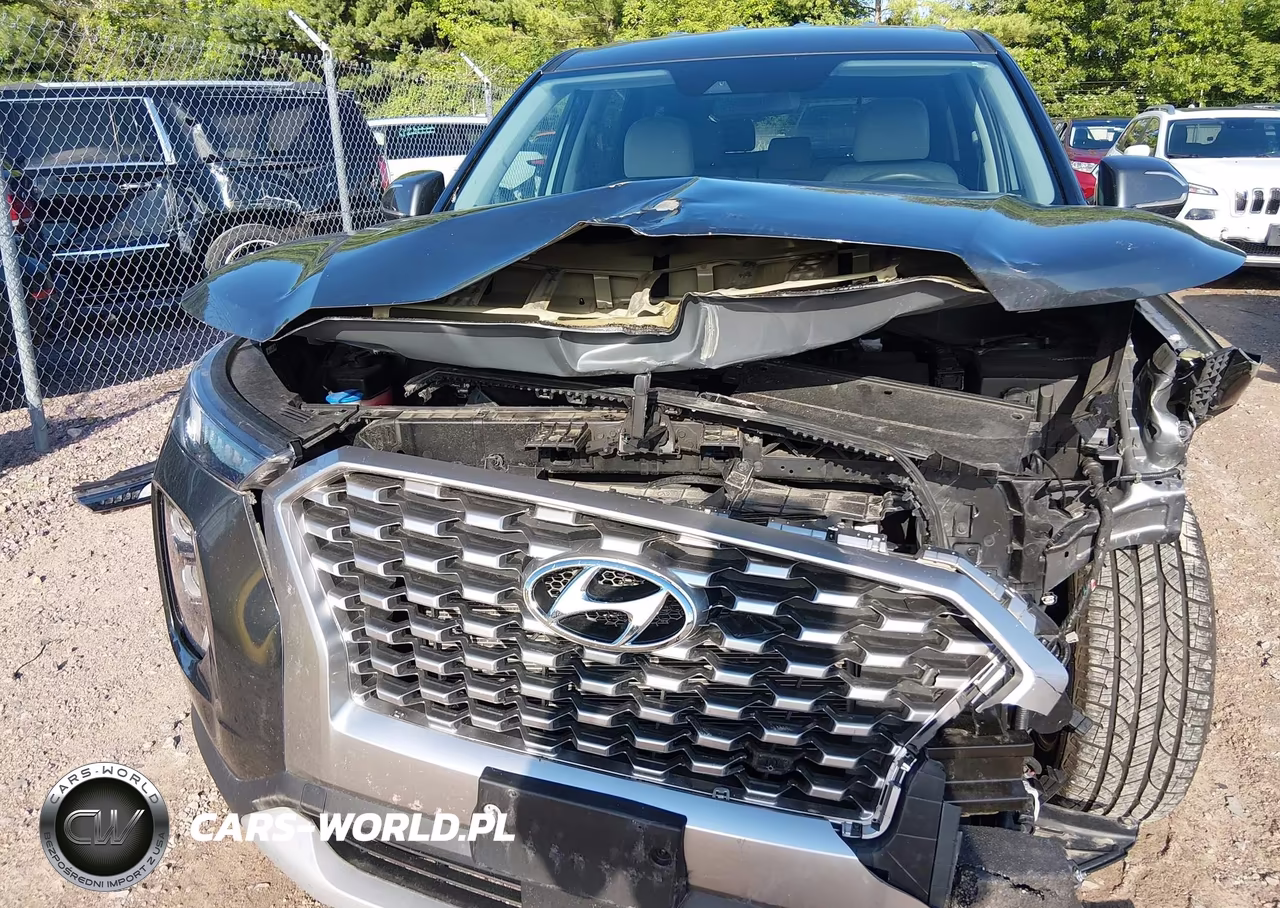 2022 Hyundai Palisade Se VIN:KM8R1DHE2NU453902 - 19