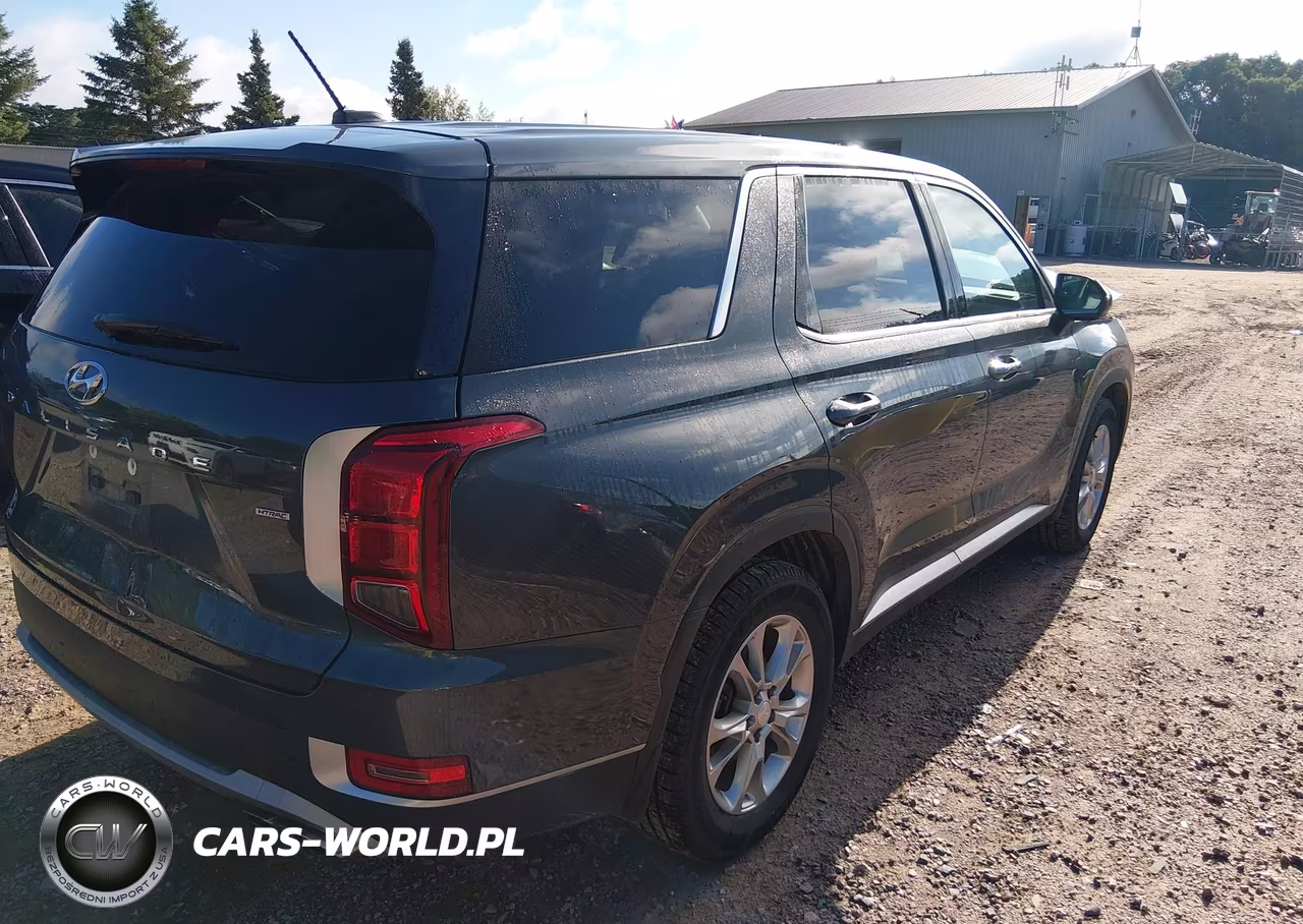 2022 Hyundai Palisade Se VIN:KM8R1DHE2NU453902 - 4