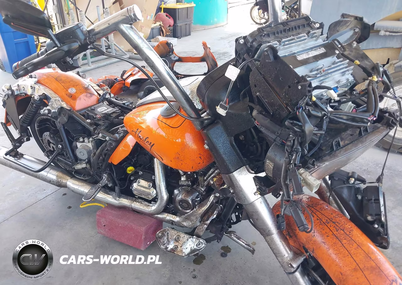 2023 Harley-Davidson Fltrxs