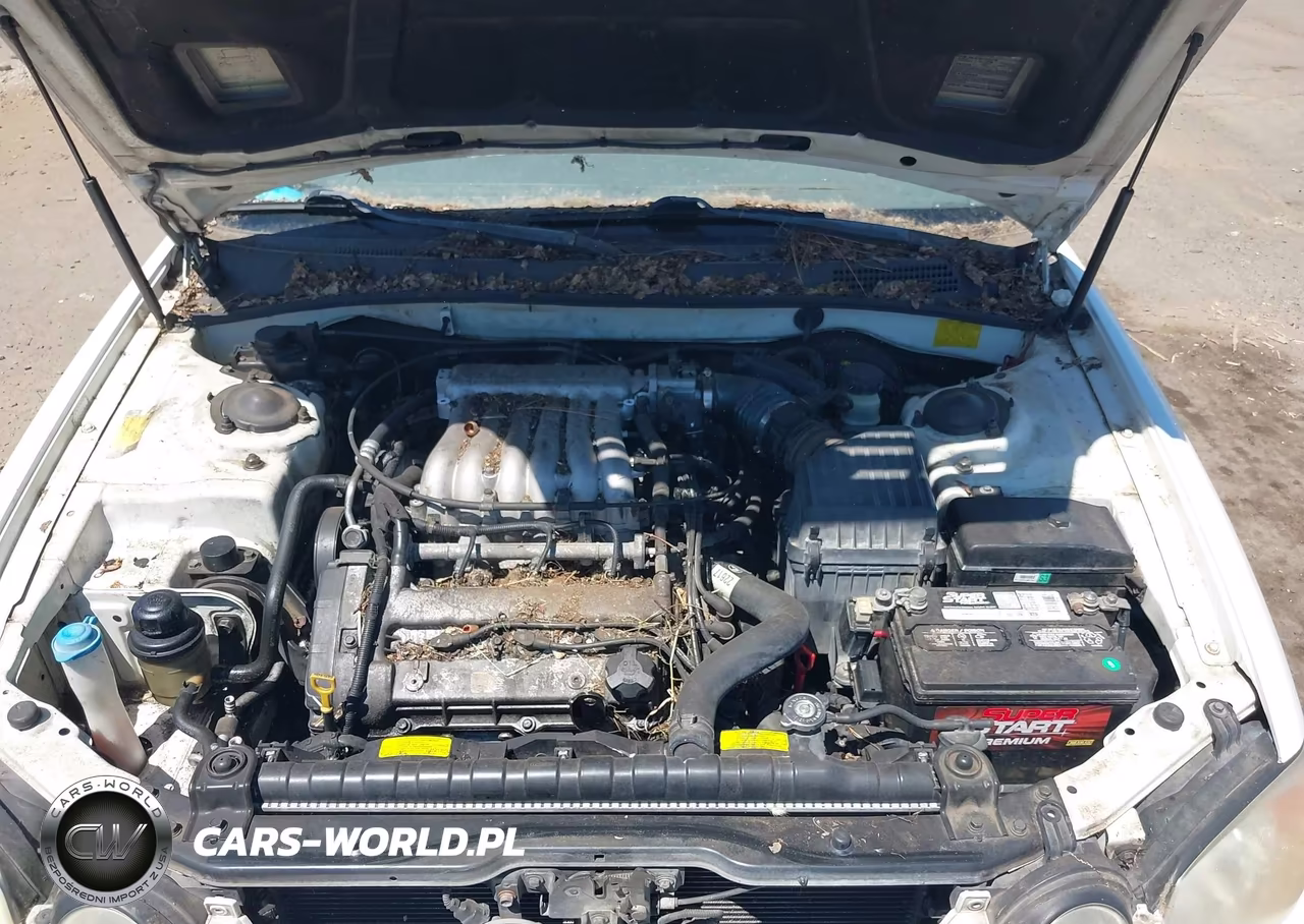 2004 Kia Optima Ex V6-Lx V6 VIN:KNAGD128545276000 - 10