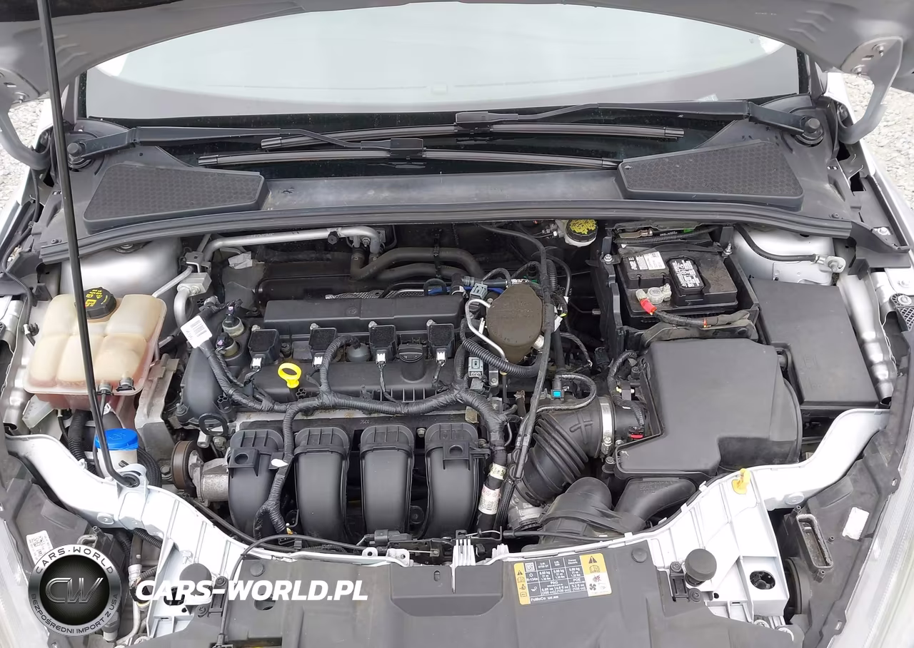 2016 Ford Focus Se VIN:1FADP3F23GL286271 - 10