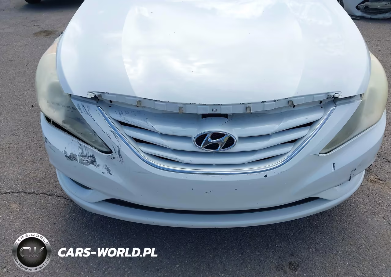 2011 Hyundai Sonata Gls VIN:5NPEB4AC7BH247554 - 17