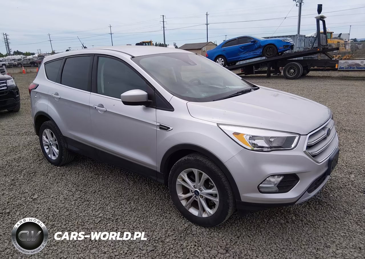 2019 Ford Escape Se