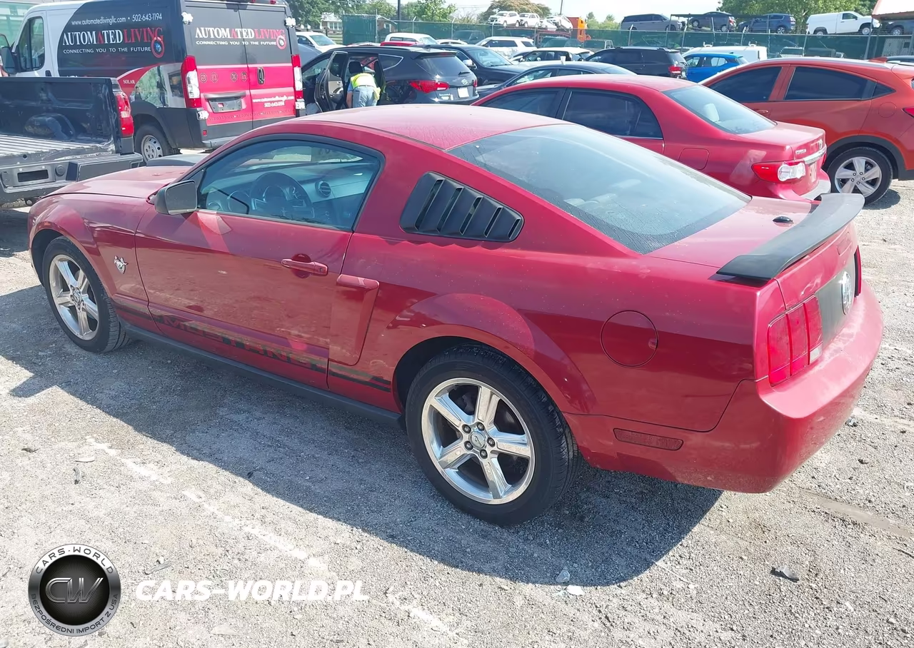 2009 Ford Mustang V6-V6 Premium VIN:1ZVHT80N695114408 - 3