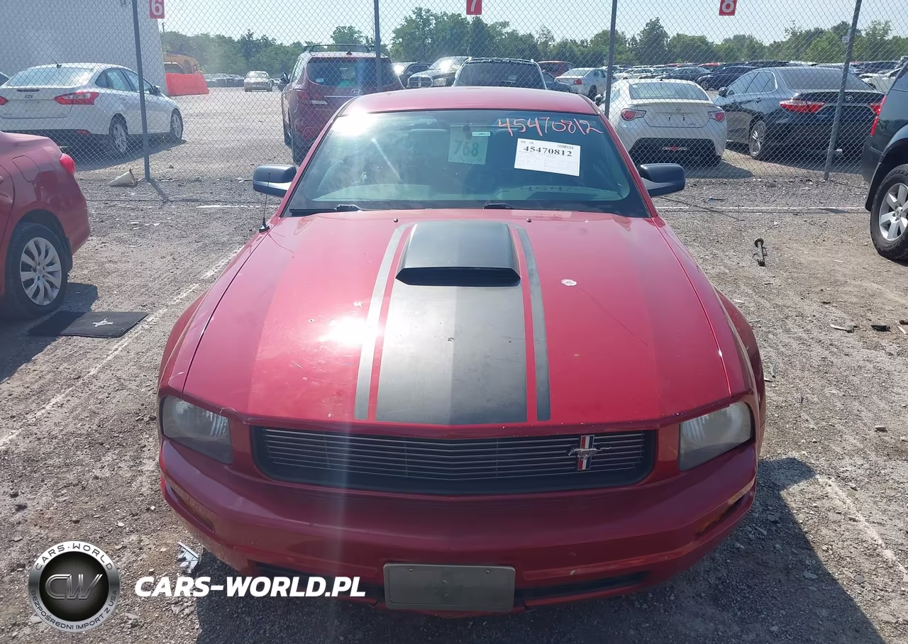 2009 Ford Mustang V6-V6 Premium VIN:1ZVHT80N695114408 - 6