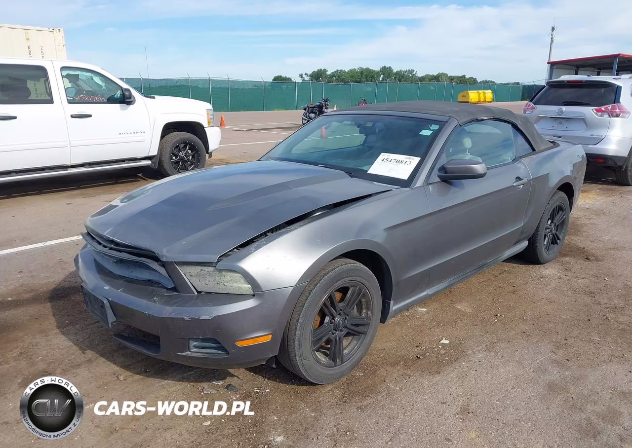 2010 Ford Mustang V6-V6 Premium VIN:1ZVBP8EN5A5140442 - 2