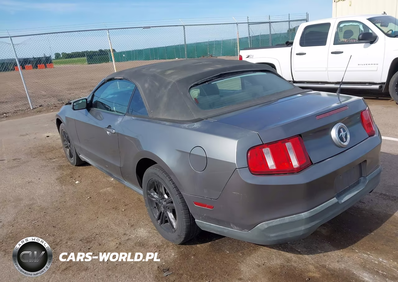 2010 Ford Mustang V6-V6 Premium VIN:1ZVBP8EN5A5140442 - 3