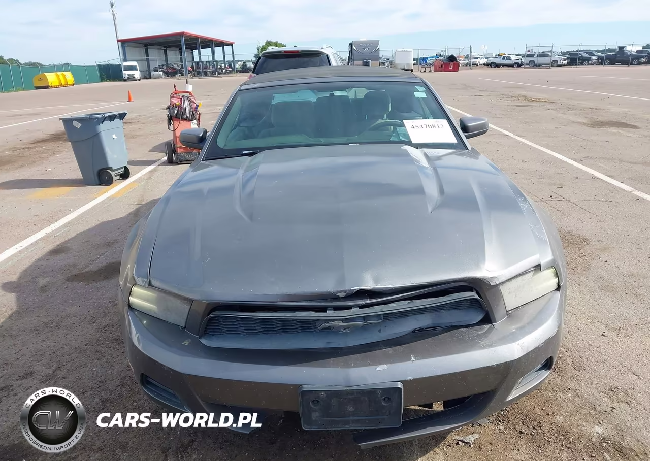 2010 Ford Mustang V6-V6 Premium VIN:1ZVBP8EN5A5140442 - 6