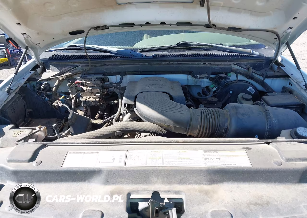 1998 Ford F-150 Lariat-Standard-Xl-Xlt VIN:1FTZF1861WKB50166 - 10
