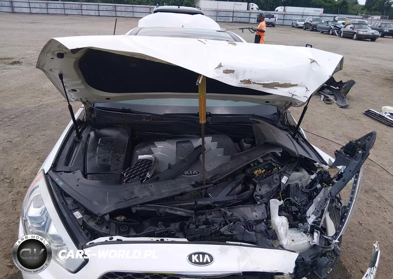 2015 Kia K900 Premium VIN:KNALU4D40F6024310 - 10