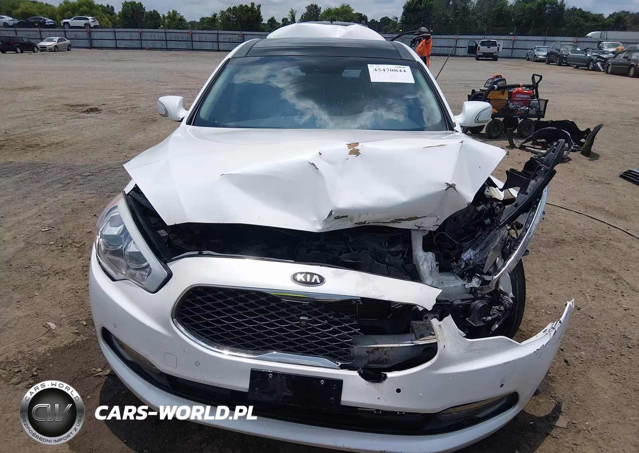 2015 Kia K900 Premium VIN:KNALU4D40F6024310 - 13