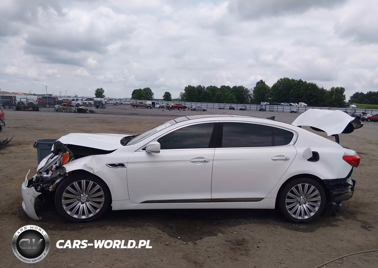 2015 Kia K900 Premium VIN:KNALU4D40F6024310 - 15