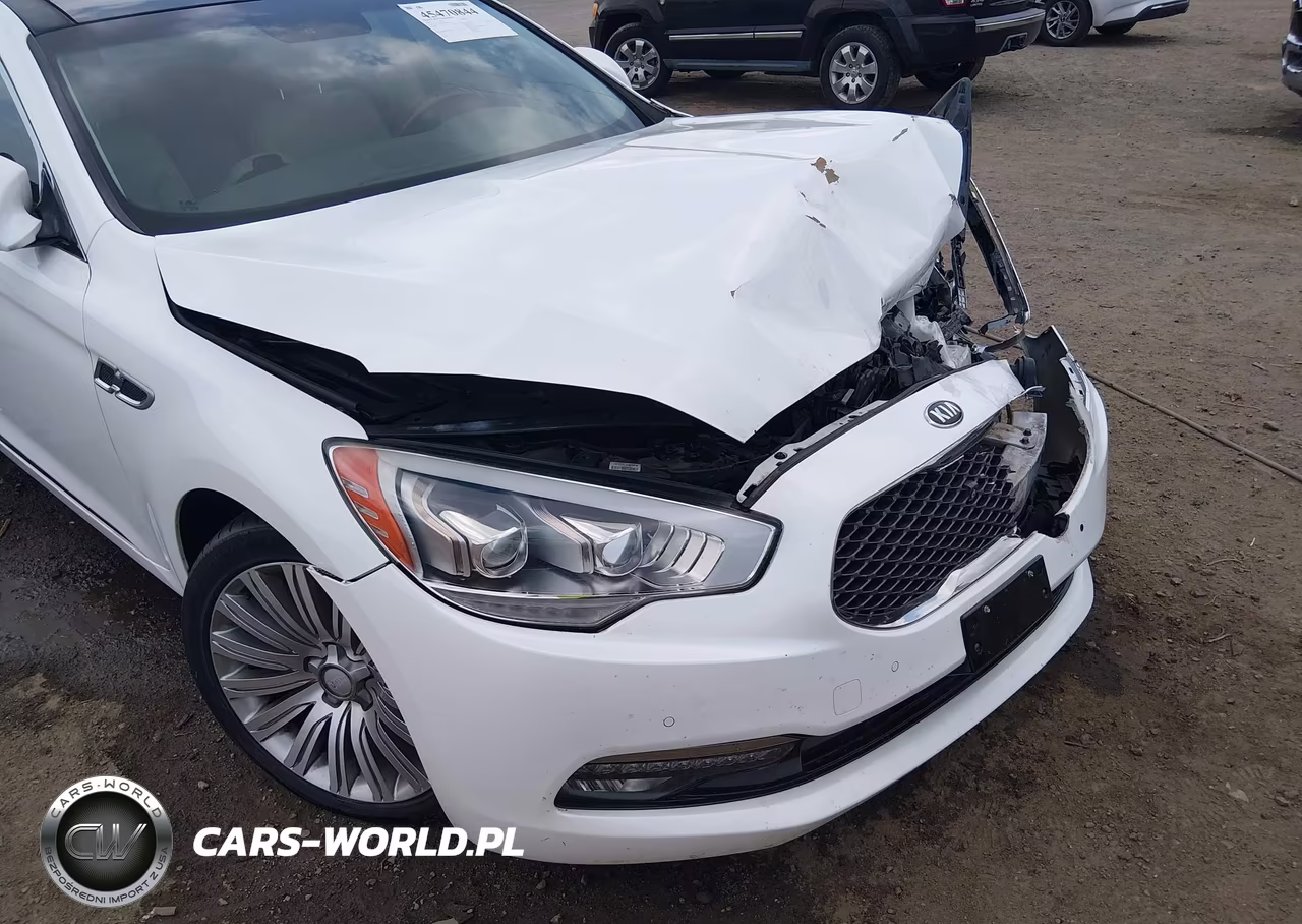 2015 Kia K900 Premium VIN:KNALU4D40F6024310 - 19