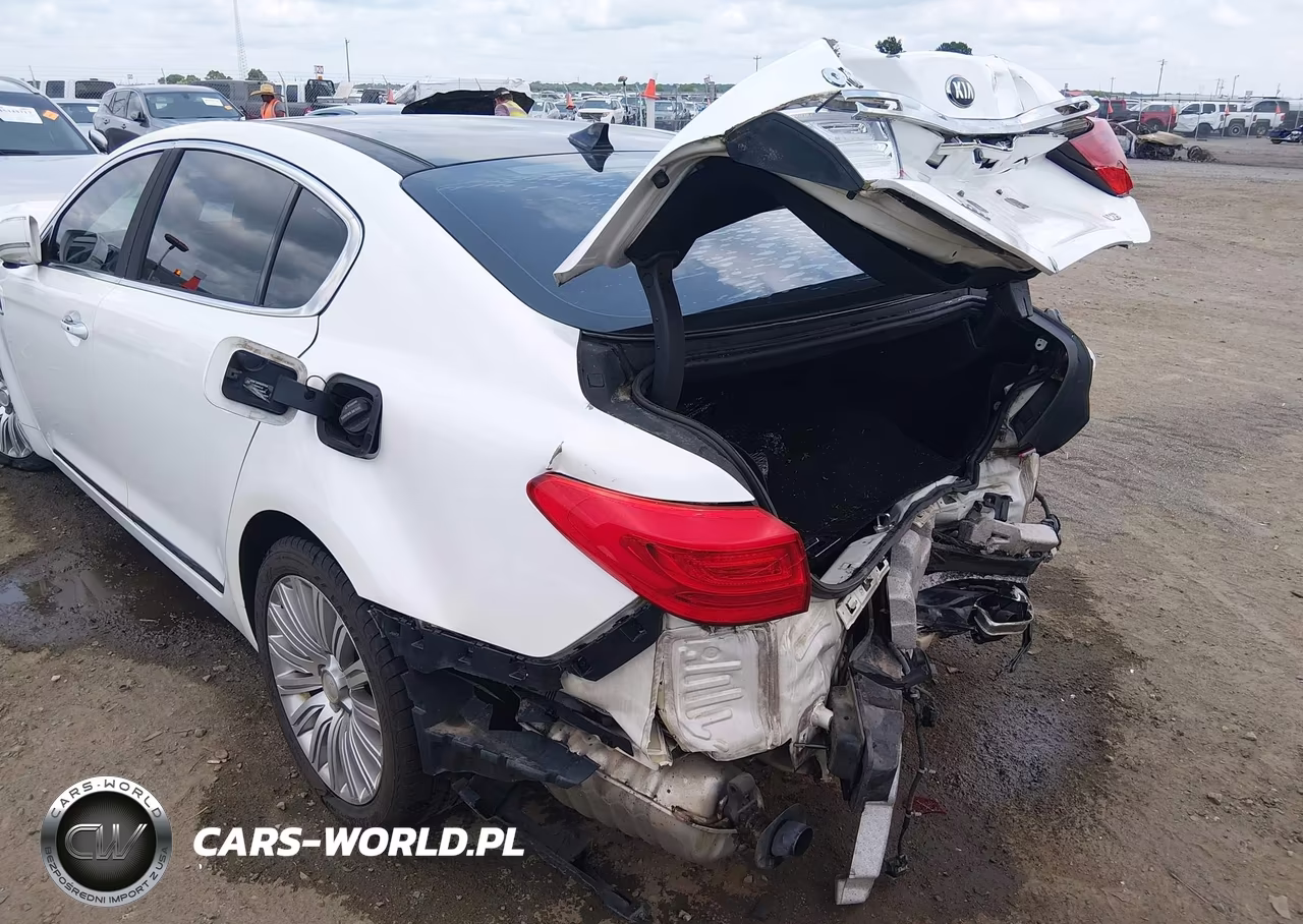 2015 Kia K900 Premium VIN:KNALU4D40F6024310 - 21