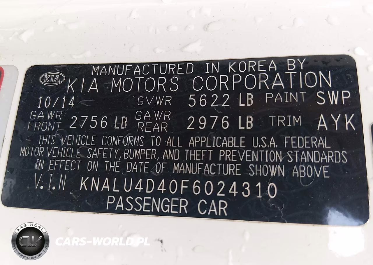 2015 Kia K900 Premium VIN:KNALU4D40F6024310 - 9