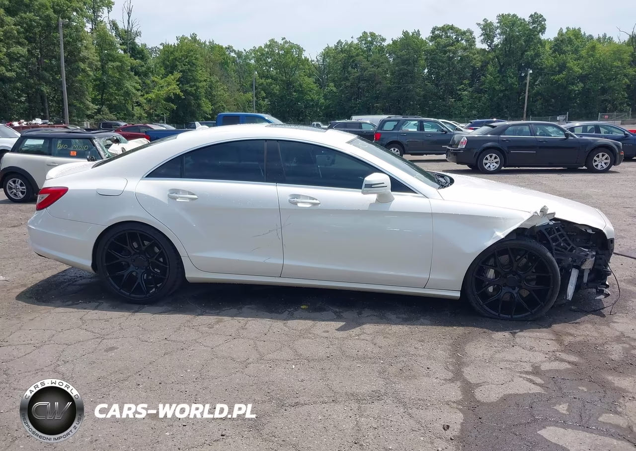 2013 Mercedes-Benz Cls 550 4Matic VIN:WDDLJ9BB8DA059543 - 13