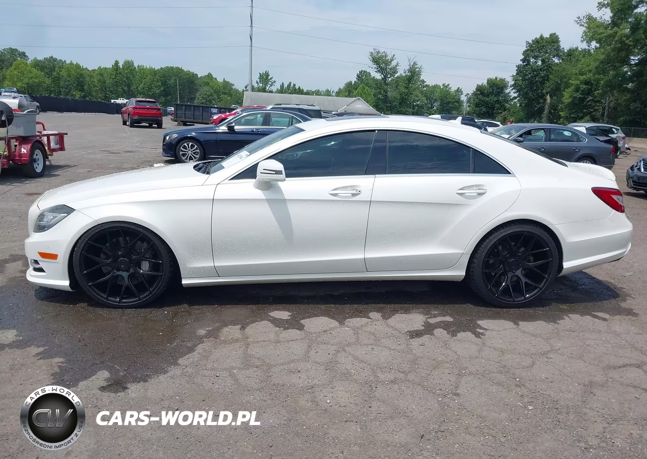 2013 Mercedes-Benz Cls 550 4Matic VIN:WDDLJ9BB8DA059543 - 14