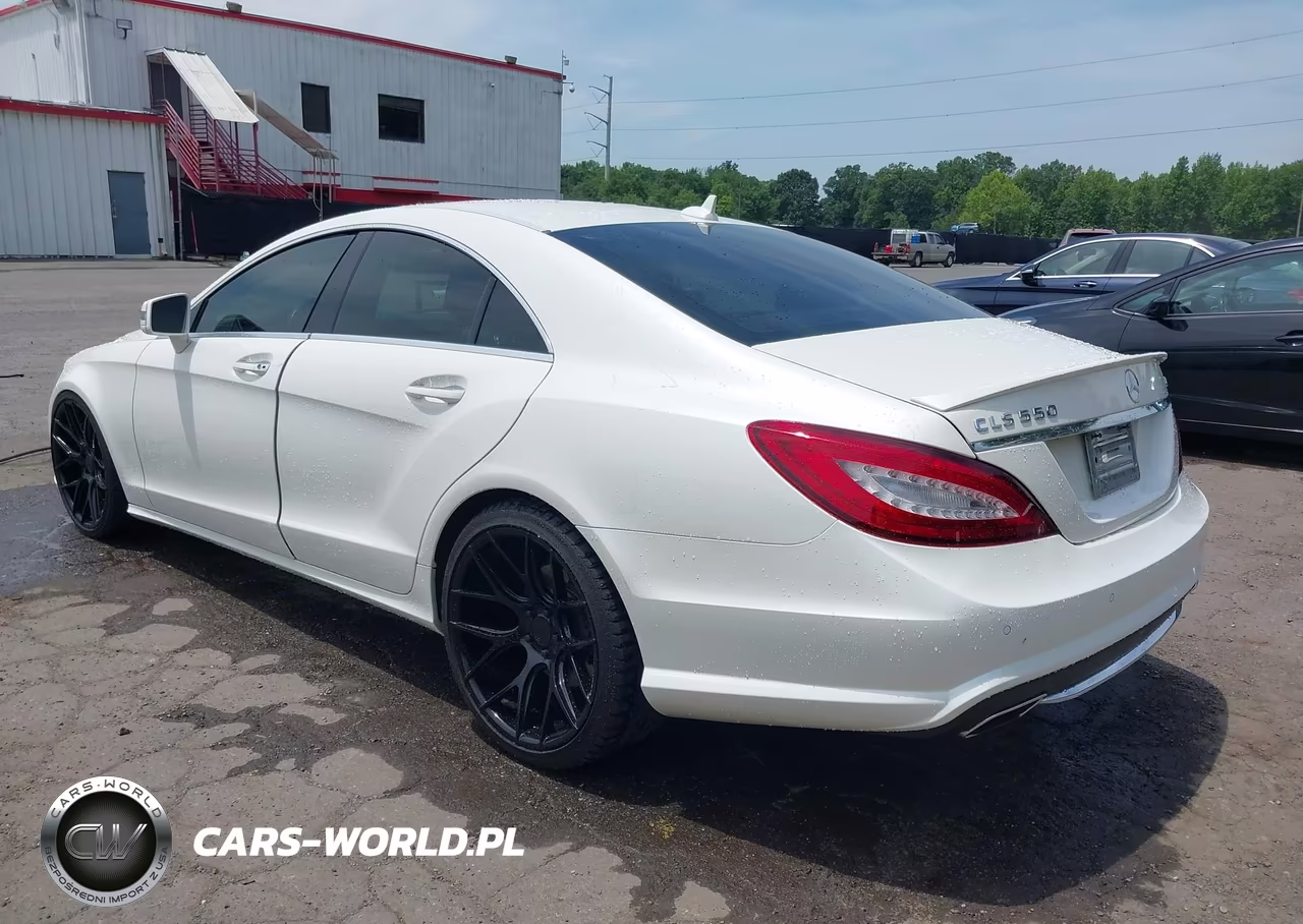 2013 Mercedes-Benz Cls 550 4Matic VIN:WDDLJ9BB8DA059543 - 3