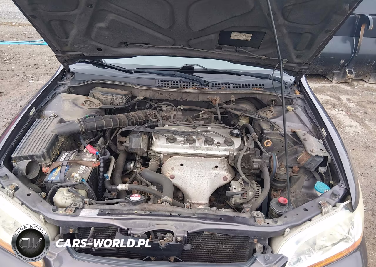 1999 Honda Accord Lx VIN:JHMCG5644XC021618 - 10