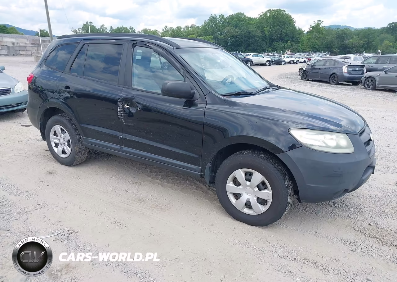 2009 Hyundai Santa Fe Gls