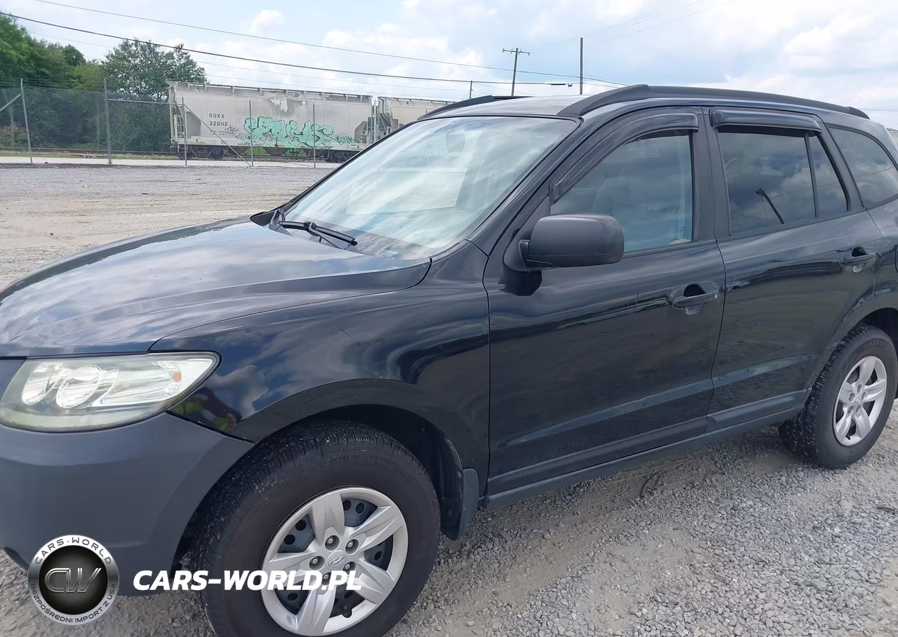 2009 Hyundai Santa Fe Gls VIN:5NMSG13D19H264530 - 6