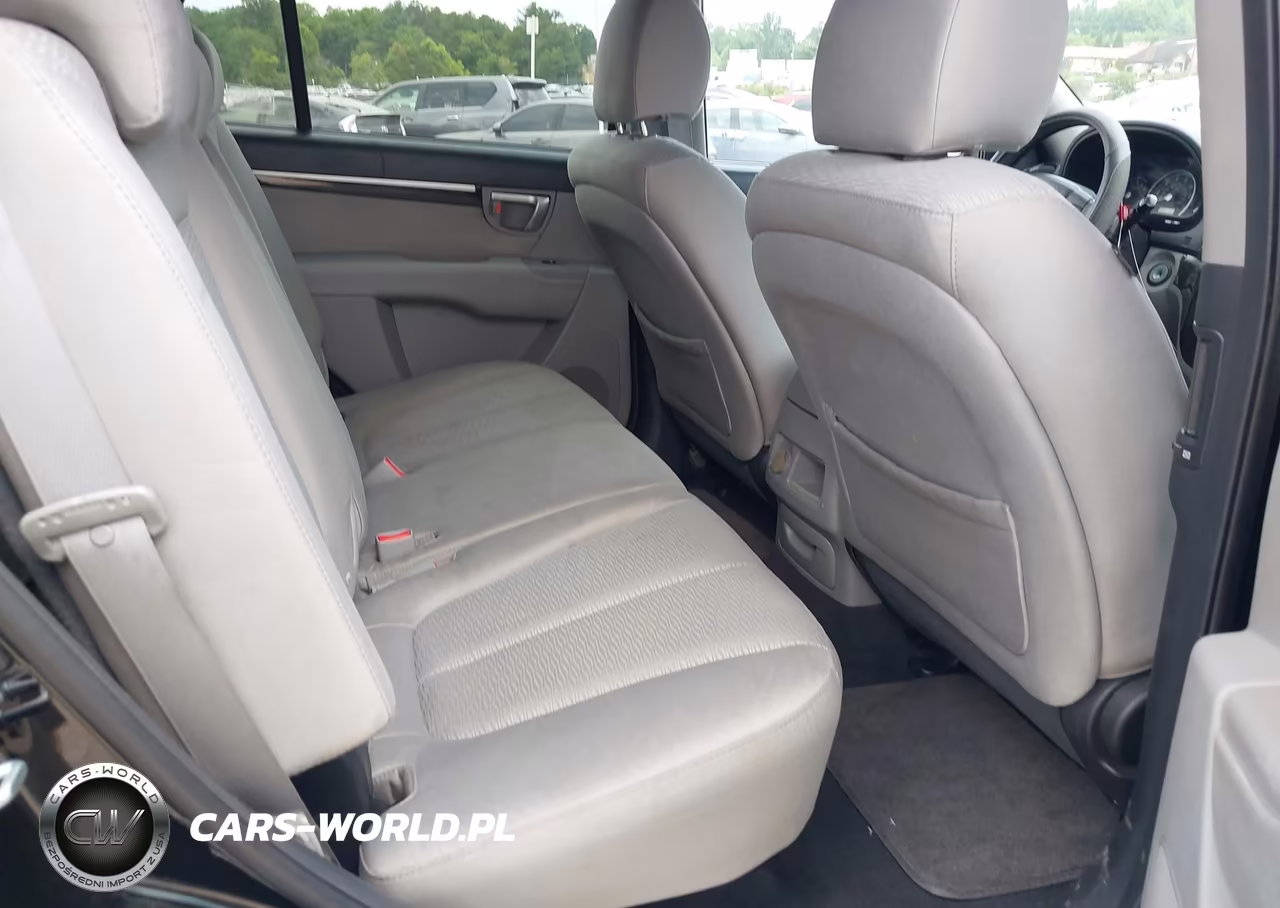 2009 Hyundai Santa Fe Gls VIN:5NMSG13D19H264530 - 8