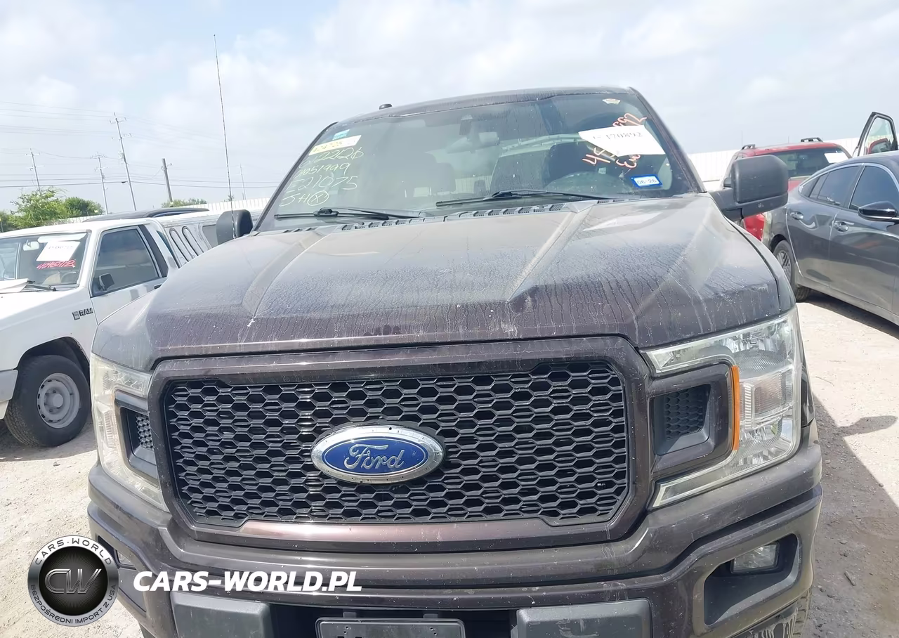 2019 Ford F-150 Xl VIN:1FTEW1CP5KKE21075 - 11